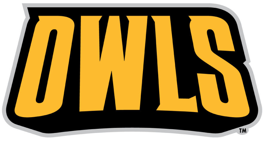 Kennesaw State Owls 2012-Pres Wordmark Logo iron on transfers for clothing